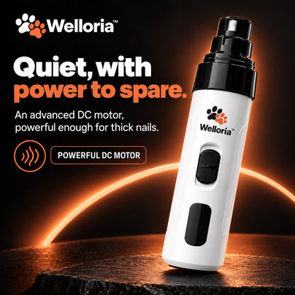 Welloria™ Silent Nail Groomer