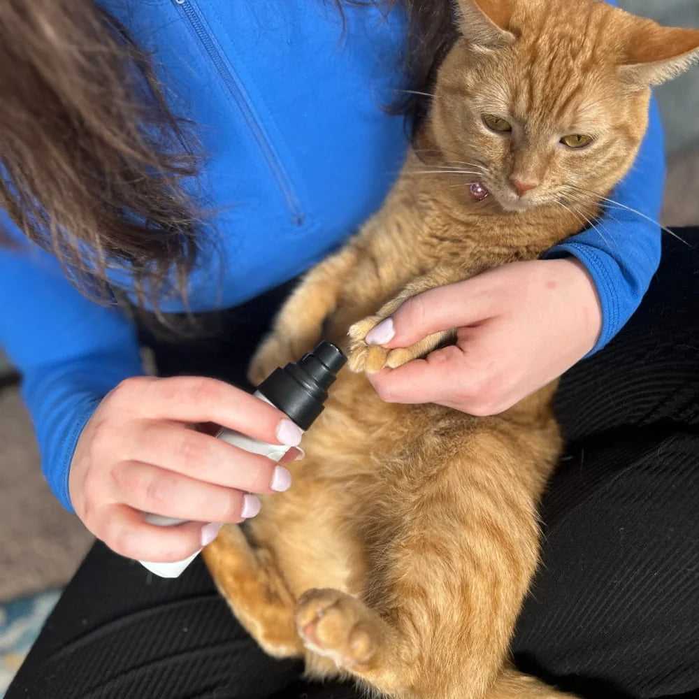 Welloria™ Silent Nail Groomer