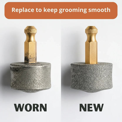 1-Pack Replacement Drum Bits — 2-Month Supply