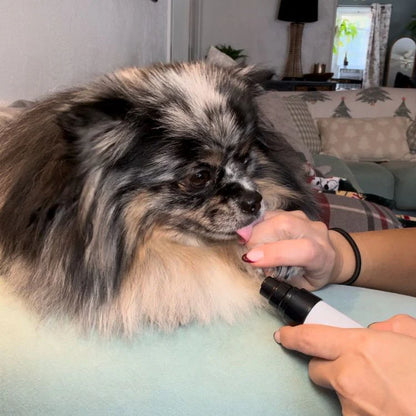Welloria™ Silent Nail Groomer