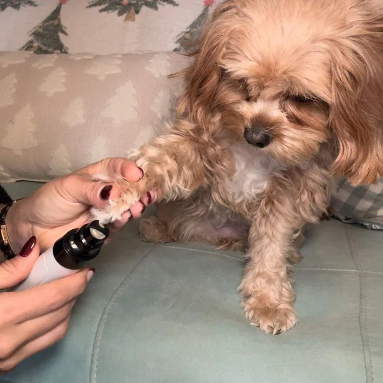 Welloria™ Silent Nail Groomer