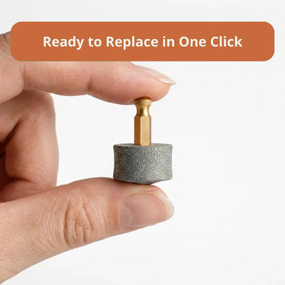 1-Pack Replacement Drum Bits — 2-Month Supply