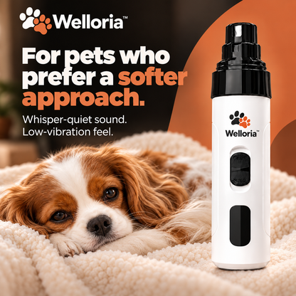 Welloria™ Silent Nail Groomer