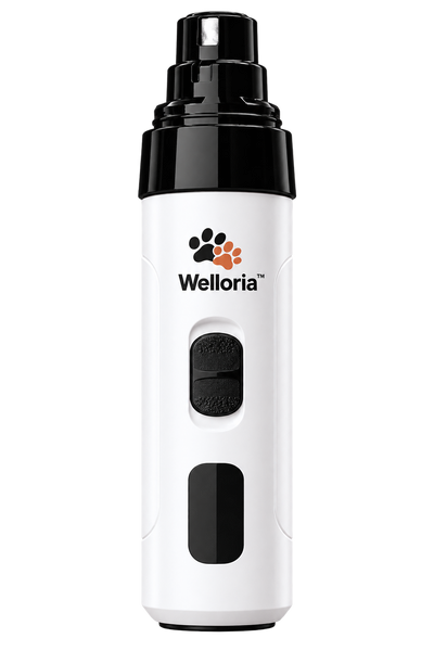 Welloria